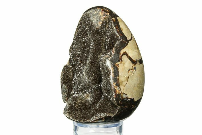 Septarian Dragon Egg Geode - Sparkly Black Crystals #308823